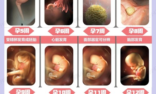 盐酸西替利嗪片的说明书专区_盐酸西替利嗪口服药说明书专区_说明书 盐酸西替利嗪片网